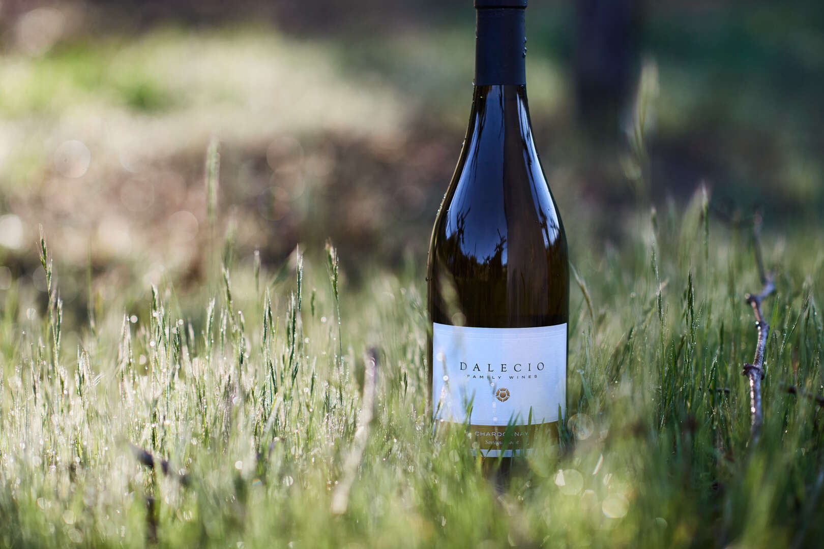 Dalecio Chardonnay in grass